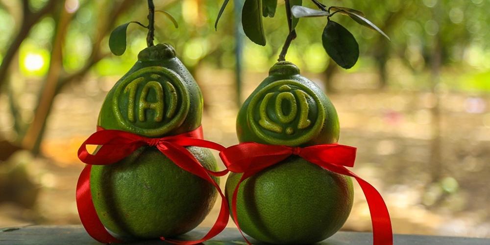 Bưởi hồ lô