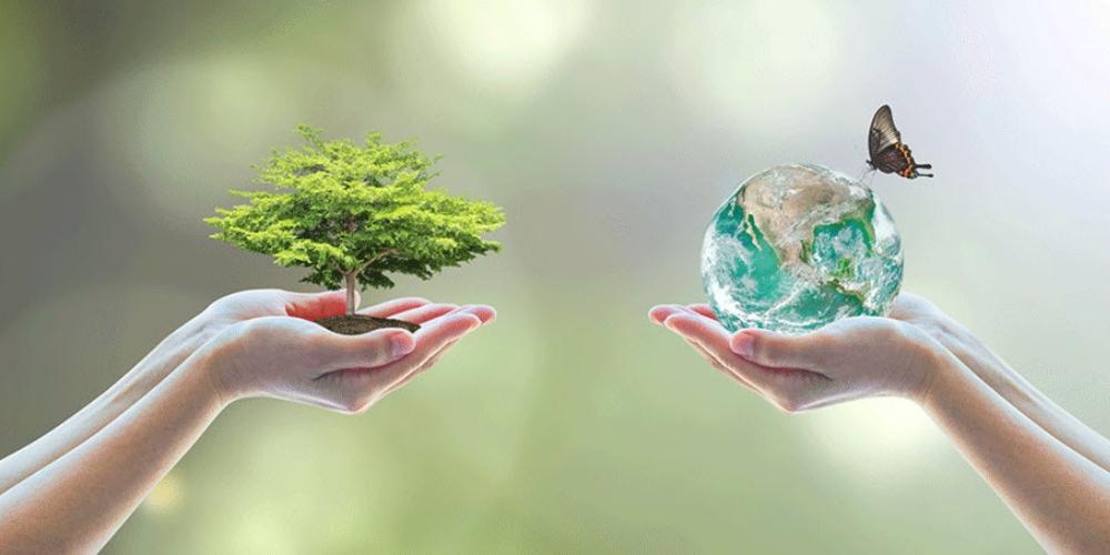 Tặng quà thân thiện môi trường 