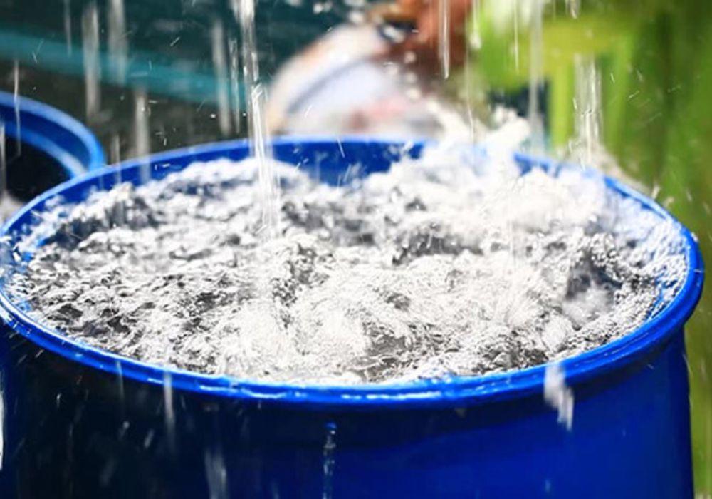 Tận dụng nước mưa
