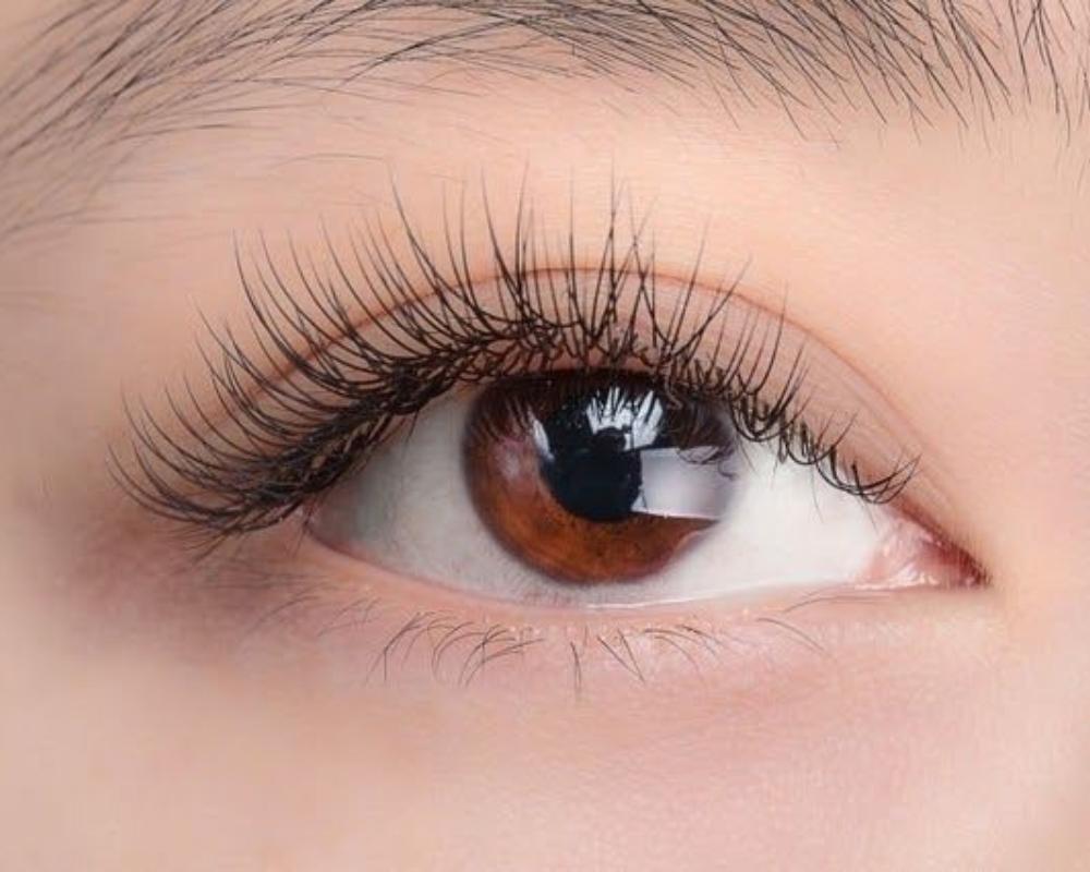 Tác dụng của dầu dừa với dưỡng mi