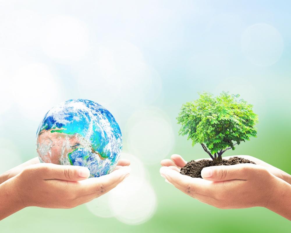 Tầng ozone bảo vệ sự sống trên Trái Đất bằng cách lọc các tia UV nguy hiểm