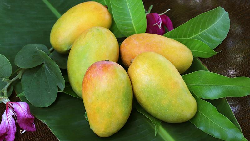 Xoài có chứa nhiều vitamin A