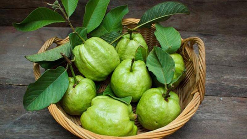 Ổi cũng là sự lựa chọn lý tưởng để bổ sung vitamin A