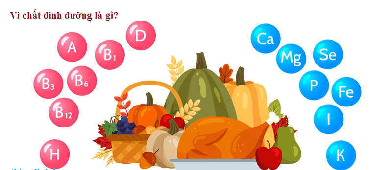 Vi chất dinh dưỡng là các loại vitamin và khoáng chất thiết yếu đối với cơ thể