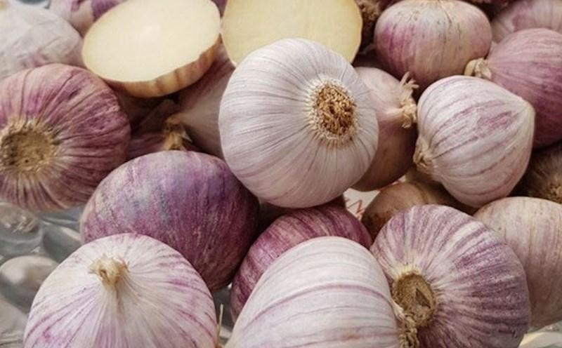 Tỏi cô đơn là tên của một dạng tỏi đặc biệt, có duy nhất một tép