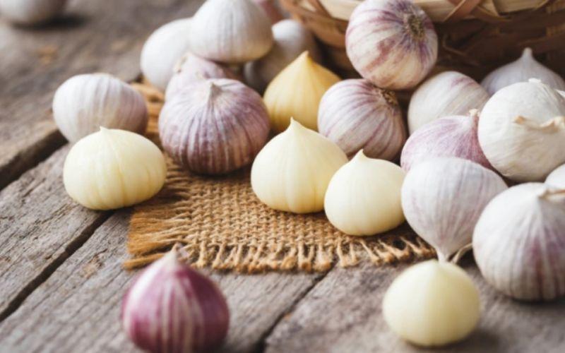 Tỏi một nhánh được dùng để điều trị cảm lạnh nhanh chóng