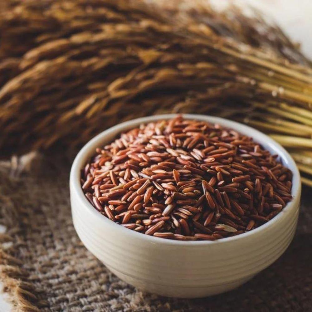 Ăn gạo lứt có tốt không? Những lợi ích của gạo lứt mà bạn nên biết