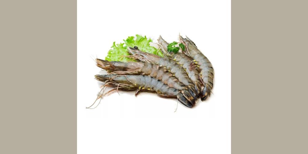 Tôm sú ngon có vỏ cứng và trong suốt