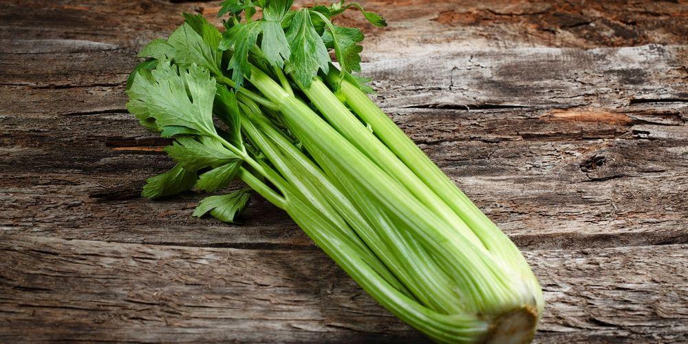 Ăn cần tây hỗ trợ giảm rối loạn cương dương và cải thiện sinh lý nam