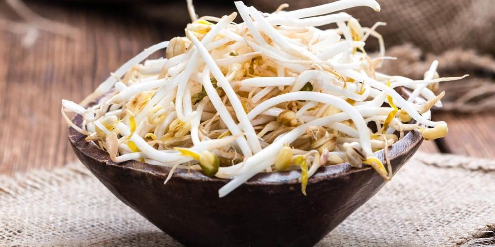 Giá đỗ là thực phẩm tăng sinh lý nam ngon, bổ, rẻ