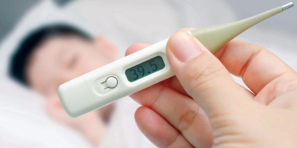 Rau diếp cá trị hạ sốt