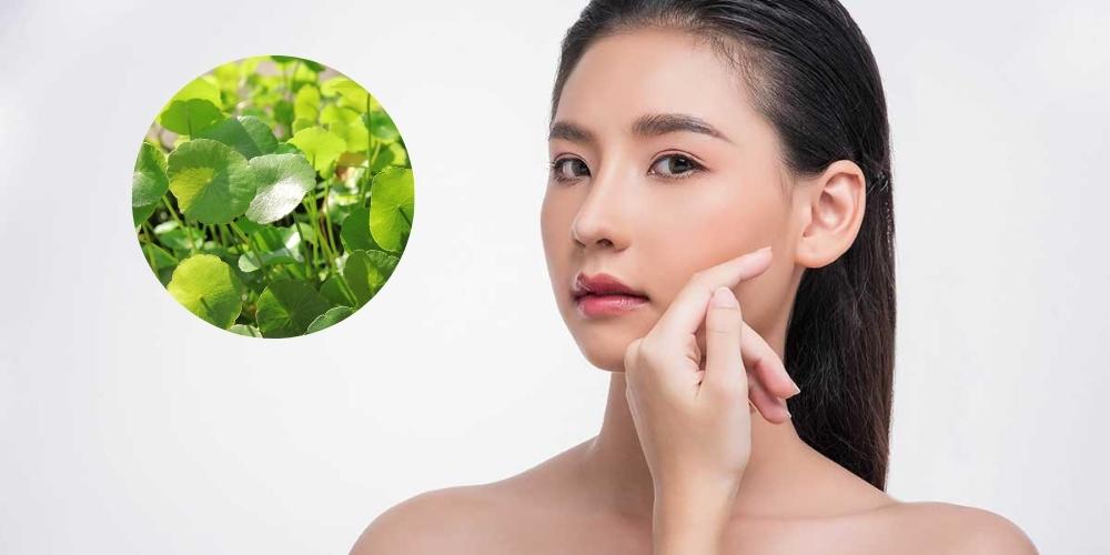 Rau má trị mụn giúp da mịn màng