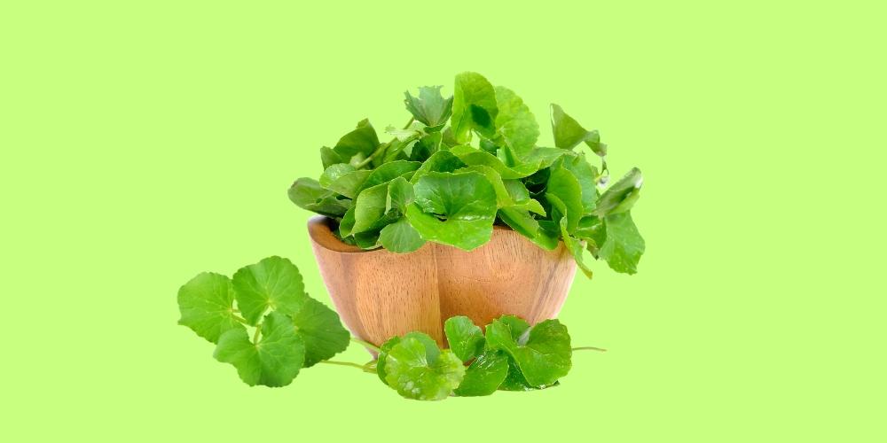 Rau má giúp hệ tiêu hoá khoẻ hơn