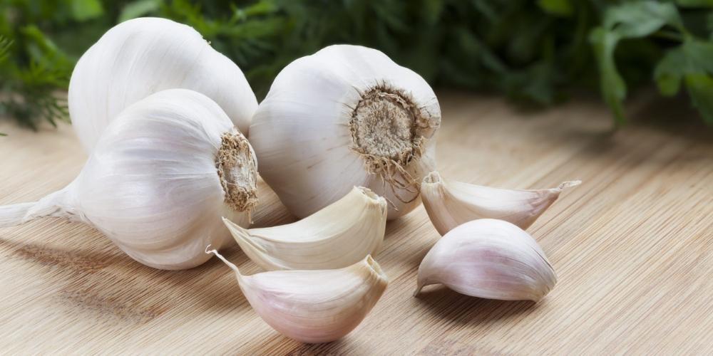 Tỏi có tính kháng khuẩn đối với vi khuẩn gây bệnh viêm phổi