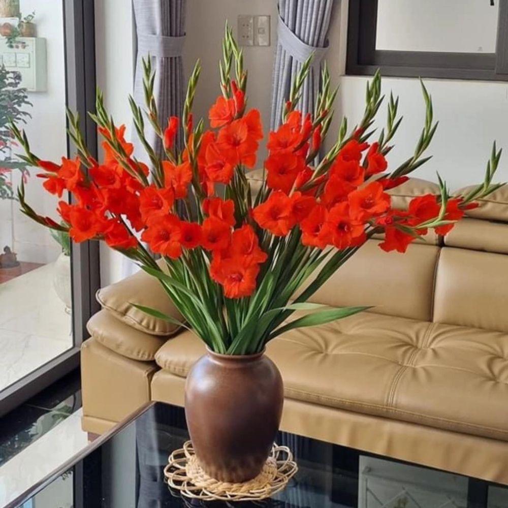 5 cách cắm hoa lay ơn ngày Tết vừa đẹp vừa đón vượng khí vào nhà