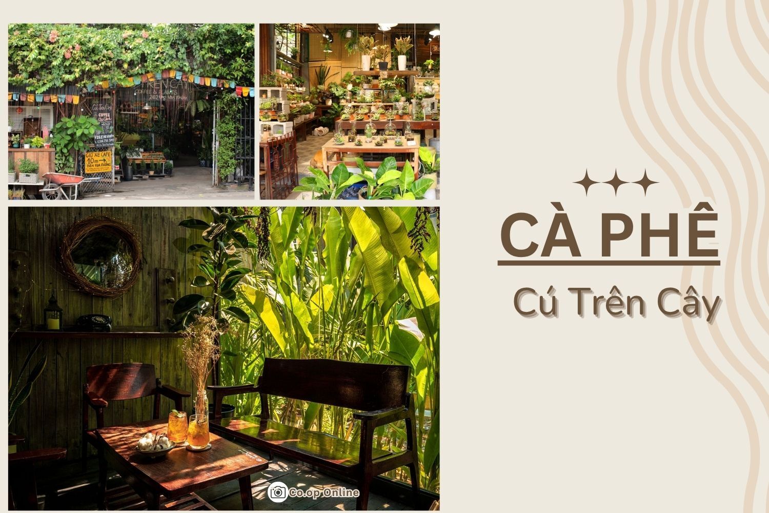 Cú trên cây - Một trong những điểm đến đáng trải nghiệm vào cuối tuần