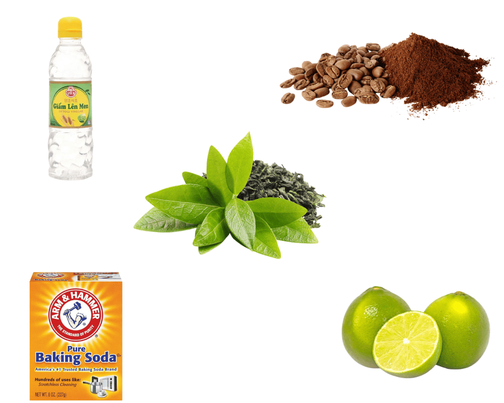Nguyên liệu tự nhiên giúp khử mùi tủ lạnh hiệu quả và an toàn tại nhà
