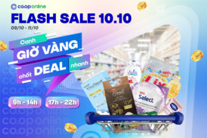 Flash sale 10/10