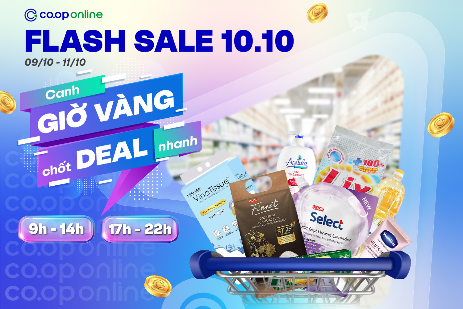 Flash sale 10/10