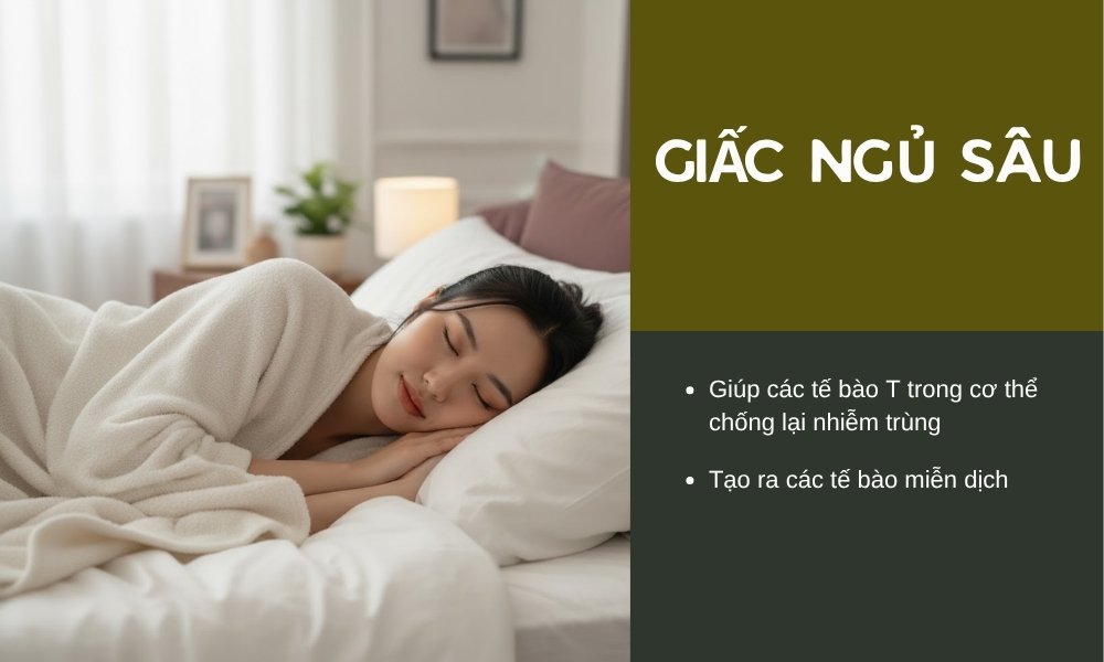 Người trưởng thành cần ngủ đủ 8 tiếng mỗi ngày để giúp tái tạo và tăng cường hệ miễn dịch 