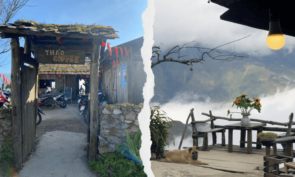Thào Coffee Tà Xùa nhìn ra thung lũng mây, không gian gỗ mộc giữa núi rừng