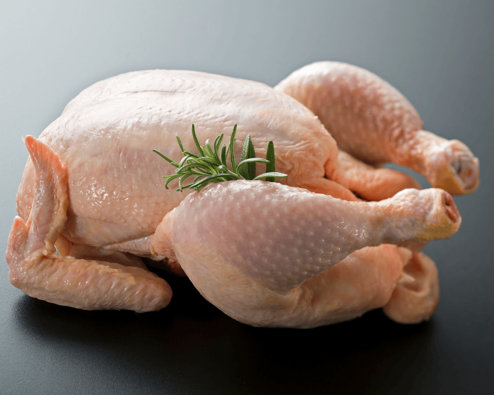 Gà nguyên con tươi sống