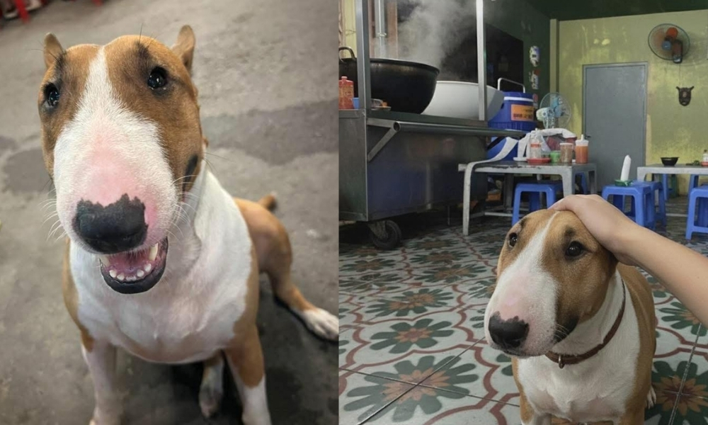 Cậu vàng gây bão tựa game phở anh Hai