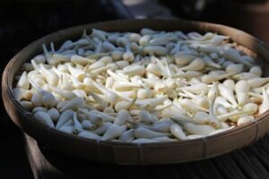 cách phơi kiệu đúng chuẩn