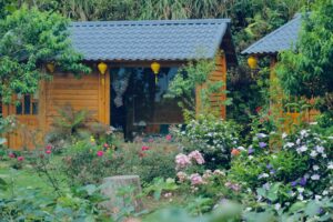 Homestay Tà Xùa: Kinh nghiệm chọn nơi lưu trú lý tưởng