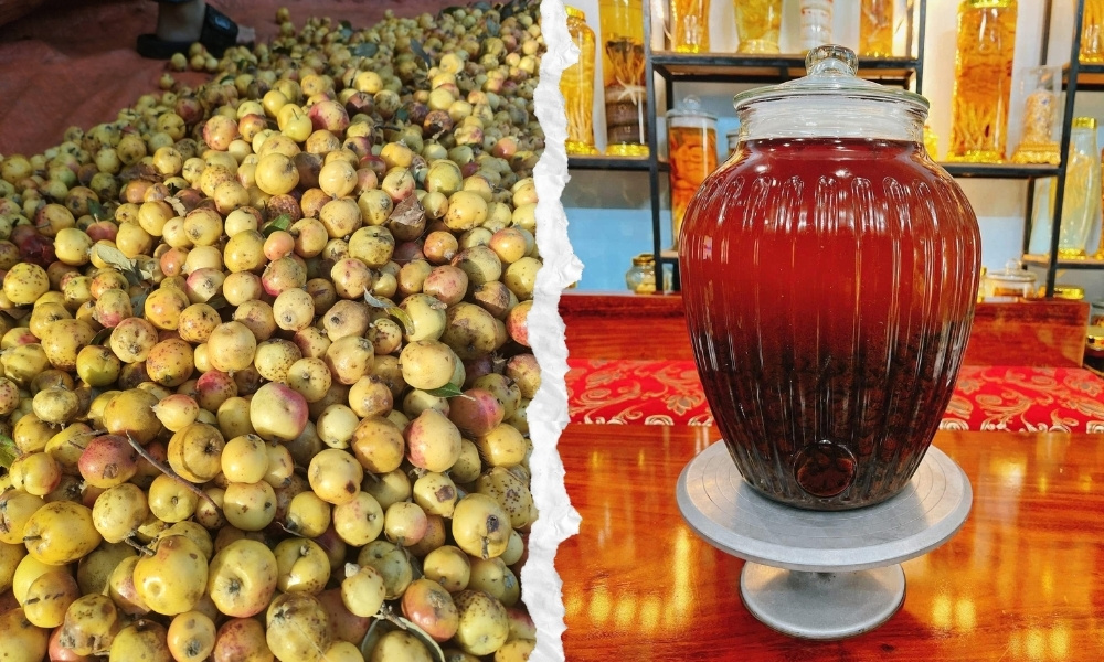 Rượu táo mèo Tà Xùa ngâm trong bình lớn