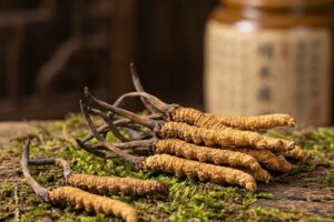 biếu quà tết cho bố mẹ người yêu