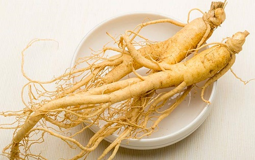 Nhân sâm là set quà tết tặng bố mẹ giàu giá trị