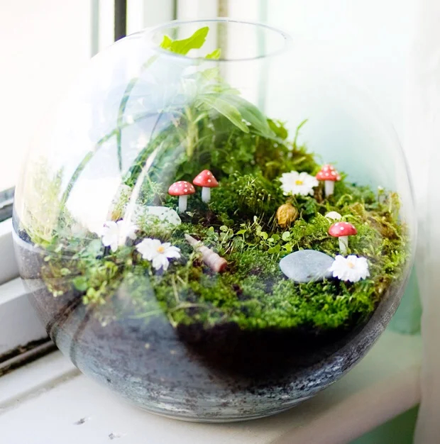 Hệ sinh thái terrarium mini mang thiên nhiên vào tận ngôi nhà