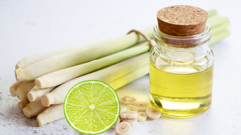 Tinh dầu sả chanh giúp diệt khuẩn và phòng ngừa cảm cúm