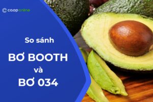 bơ booth và bơ 034 bơ nào ngon hơn