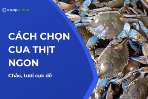 Cách chọn cua thịt ngon, chắc, tươi cực dễ