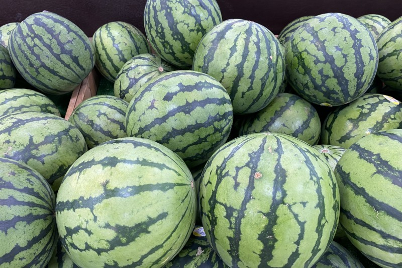 Chọn những quả dưa hấu có hình dáng tròn trịa, vỏ xanh bóng với các đường gân nổi rõ.