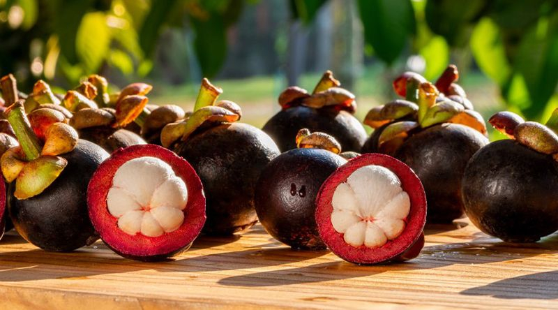 Đặc sản măng cụt Lái Thiêu với vỏ mỏng, thịt trắng tinh và vị ngọt thanh đặc trưng.