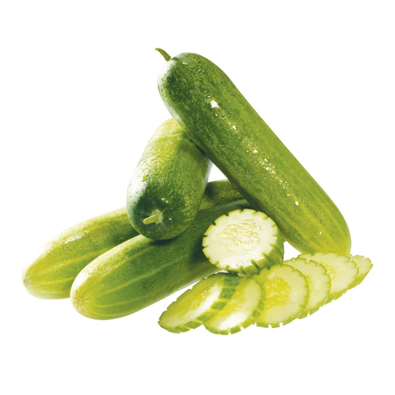 Dưa leo giòn mát giúp giải khát tức thì