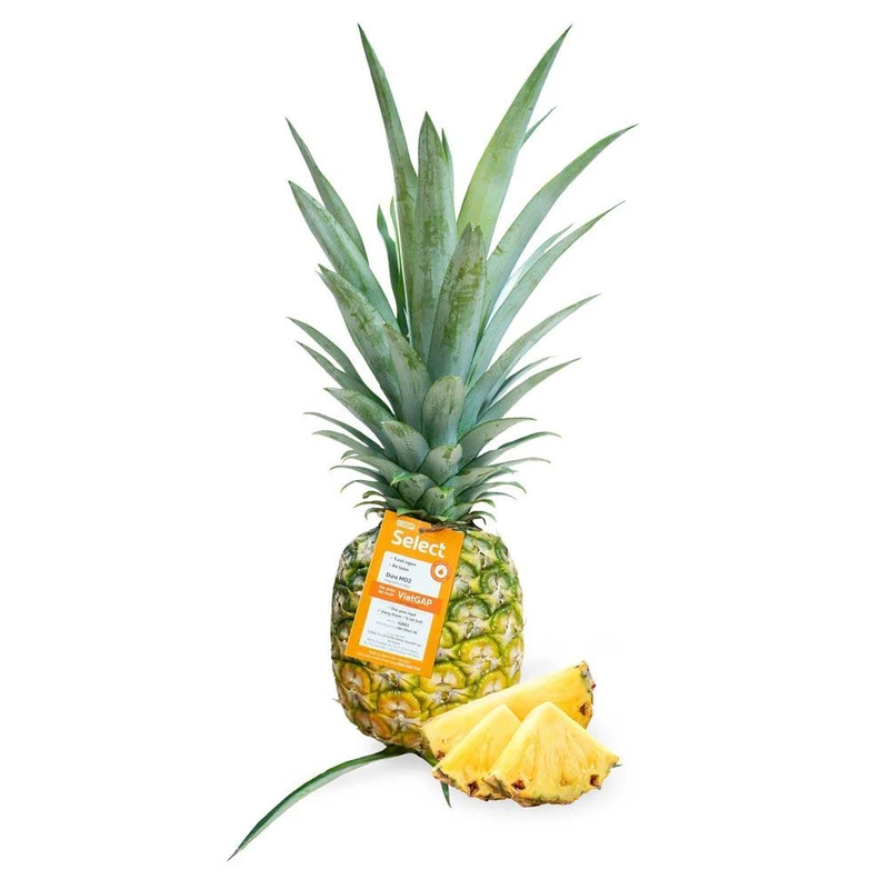 Dứa MD2 với ưu điểm vỏ mỏng, không rát lưỡi, rất phù hợp cho món salad trái cây.