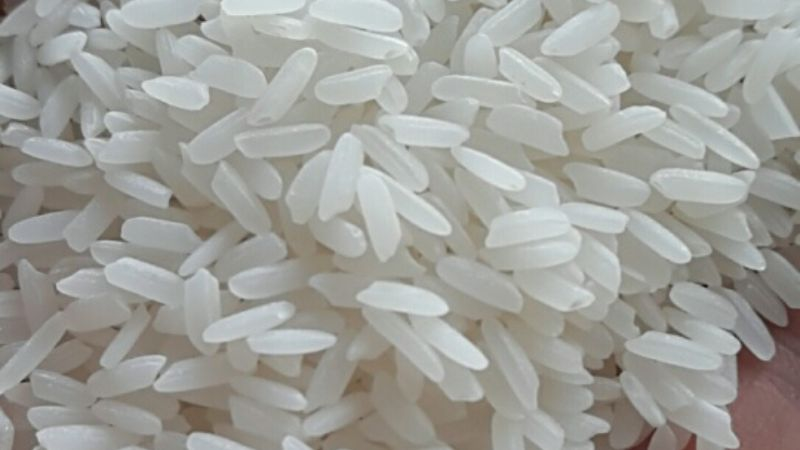 Gạo Đài Loan chất lượng ổn định là lựa chọn an toàn cho mọi gia đình