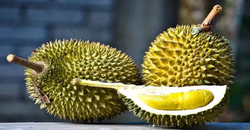 Hình ngôi sao 5 cánh dưới đáy là đặc điểm nhận dạng quan trọng của Musang King.