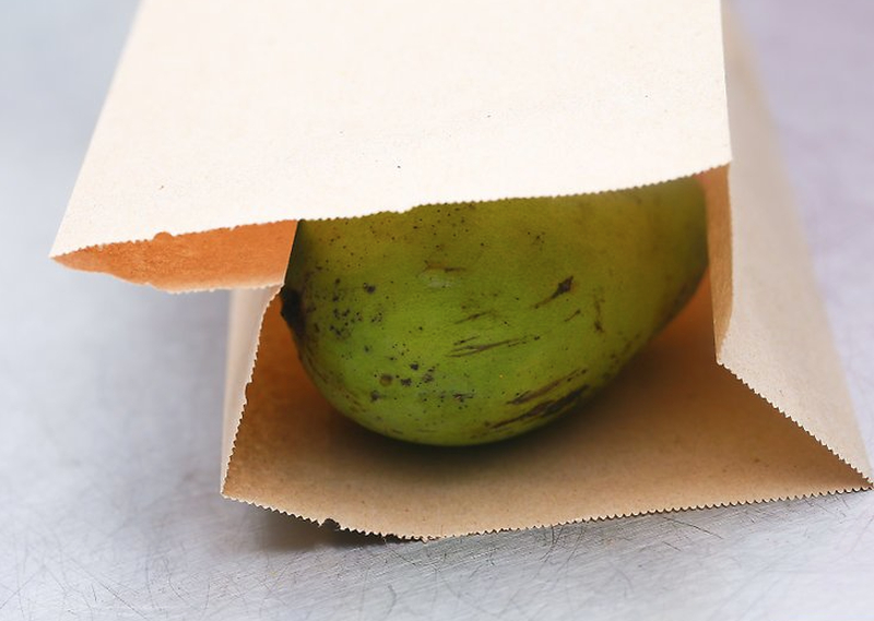 Kiểm tra thường xuyên giúp bạn bắt đúng thời điểm xoài chín ngon nhất.