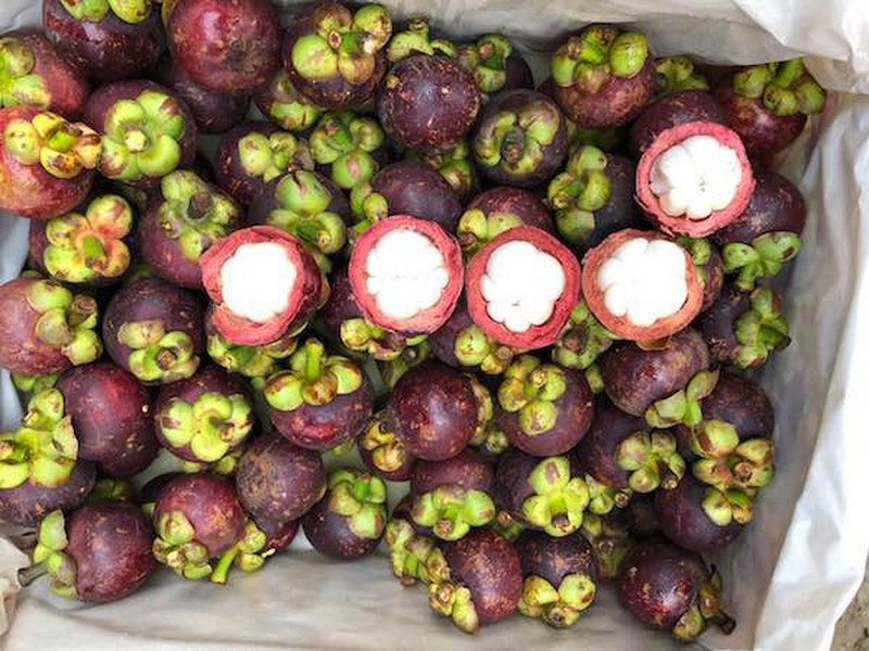 Măng cụt Thái Lan thường có quả to, đều màu và hình thức rất bắt mắt.