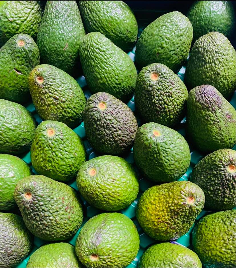 Màu sắc vỏ quả bơ là dấu hiệu đầu tiên để nhận biết độ chín và độ dẻo