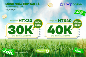 Mừng ngày hợp tác xã - Săn Sale cực đã