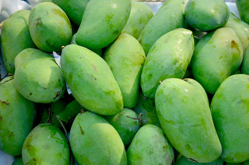 Việc chọn đúng loại xoài là bước nền tảng quyết định trực tiếp đến độ ngon của món ăn