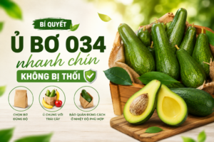 bi-quyet-u-bo-nhanh-chin-khong-bi-thoi-dau-cach-chon-bo-034