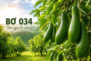bo-034-giong-bo-com-deo-hat-nho-thom-ngon-chuan-vi-viet