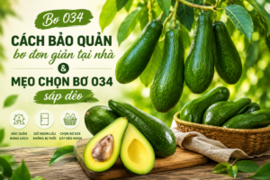 cach-bao-quan-bo-don-gian-tai-nha-meo-chon-bo-034-sap-deo